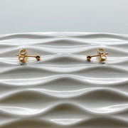 Broquel de Perla Dorada