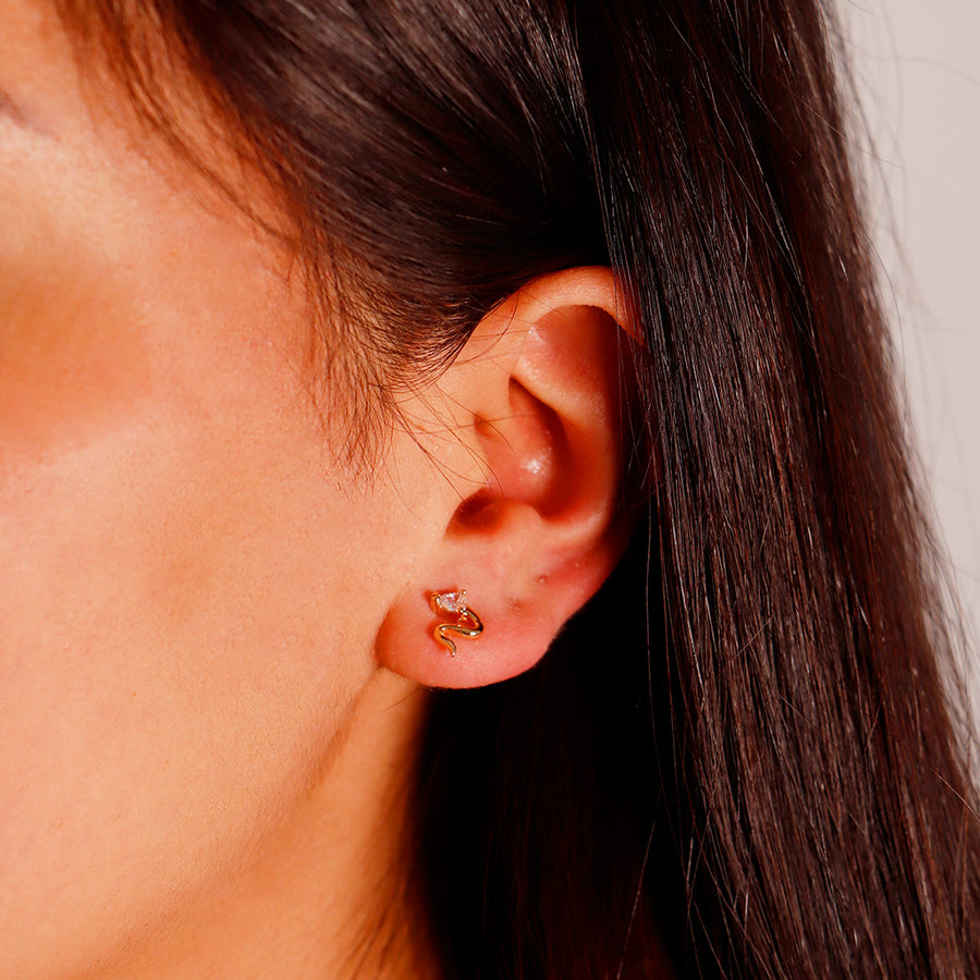 Broquel Snake con Zirconia