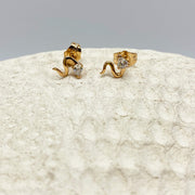 Broquel Snake con Zirconia